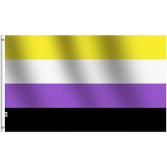 Pride Flag Non Binary